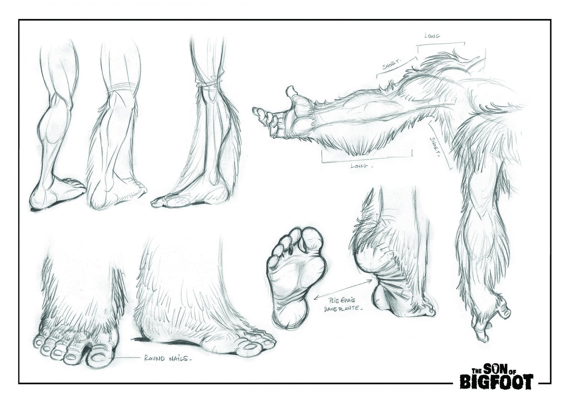 Bigfoot - études des graaands pieds