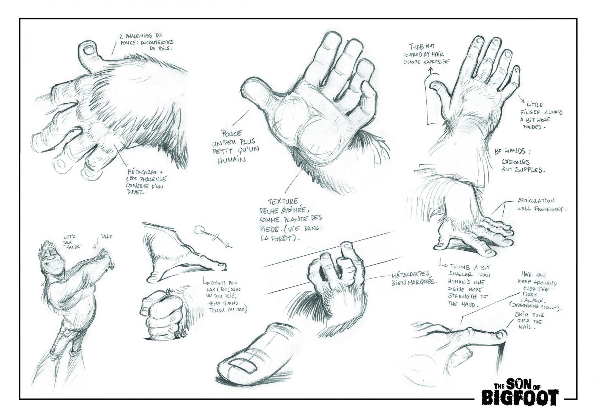 Bigfoot - étude des mains